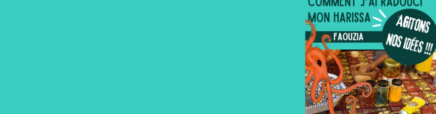 Photo décorative de l'article 879x231 pixels