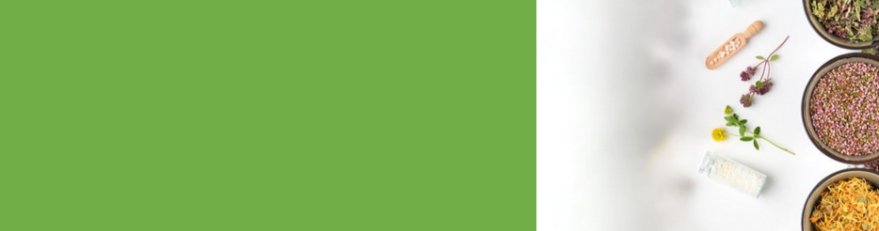 Photo décorative de l'article 879x231 pixels