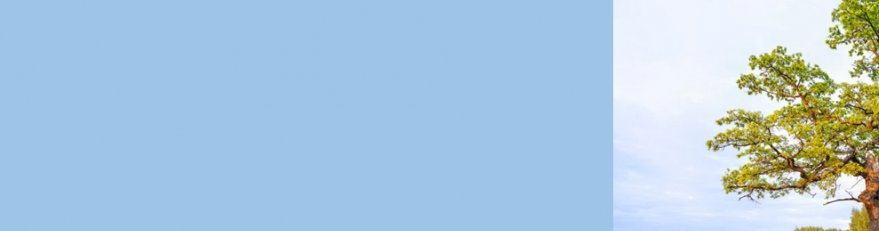 Photo décorative de l'article 879x231 pixels