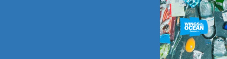 Photo décorative de l'article 879x231 pixels