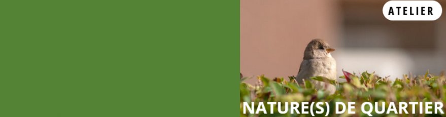 Photo décorative de l'article 879x231 pixels