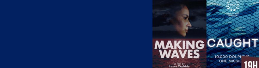 Photo décorative de l'article 879x231 pixels